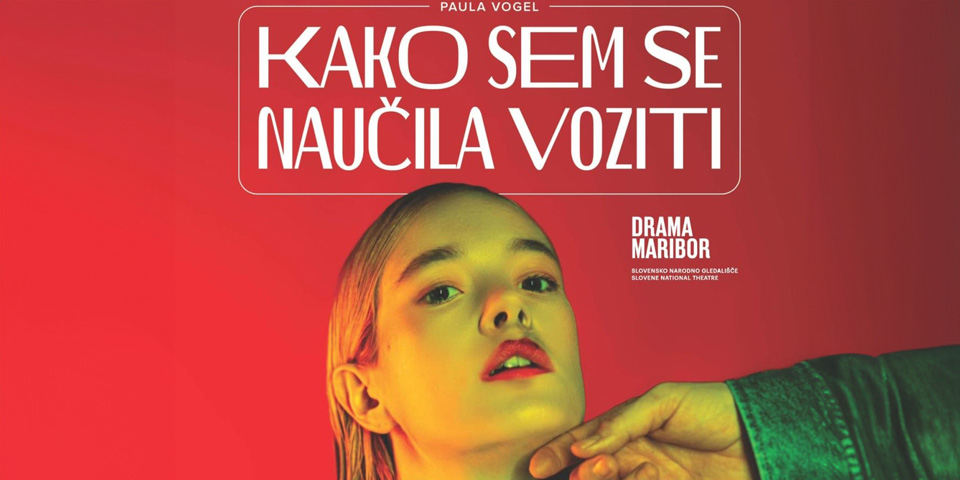 Kako sem se naučila voziti